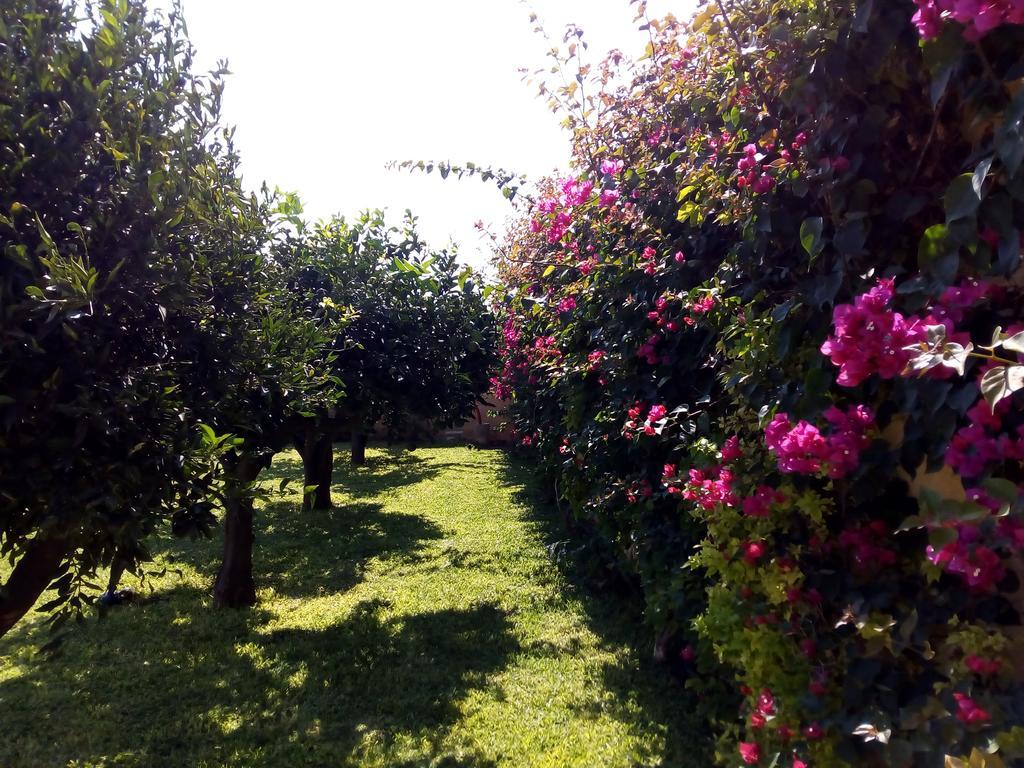 Baglio Olivastro Bed & Breakfast Digerbato Bagian luar foto